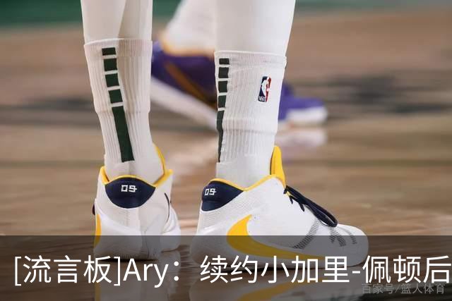 [流言板]Ary：续约小加里-佩顿后，勇士接下来会签下一名大个子球员